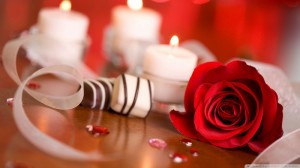 rose_24-wallpaper-1920x1080 (800x450)
