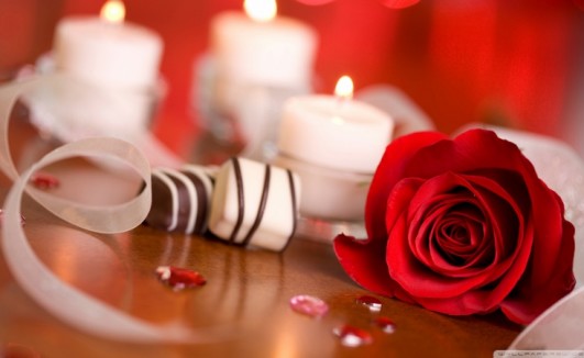 rose_24-wallpaper-1920x1080 (800x450)